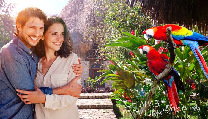 Pasa un buen fin y visita Chiapas Pasa un buen fin y visita Chiapas